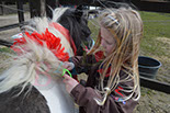 Badyhoeve is een terrein dat tot 3kinderen en hun pony's met de hond Djackson behoort.