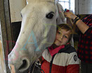 Badyhoeve is een terrein dat tot 3kinderen en hun pony's met de hond Djackson behoort.