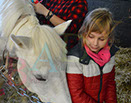 Badyhoeve is een terrein dat tot 3kinderen en hun pony's met de hond Djackson behoort.