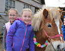 Badyhoeve is een terrein dat tot 3kinderen en hun pony's met de hond Djackson behoort.