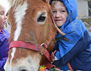 Badyhoeve is een terrein dat tot 3kinderen en hun pony's met de hond Djackson behoort.