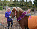 Badyhoeve is een terrein dat tot 3kinderen en hun pony's met de hond Djackson behoort.