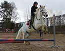 Badyhoeve is een terrein dat tot 3kinderen en hun pony's met de hond Djackson behoort.