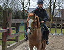 Badyhoeve is een terrein dat tot 3kinderen en hun pony's met de hond Djackson behoort.