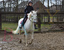 Badyhoeve is een terrein dat tot 3kinderen en hun pony's met de hond Djackson behoort.