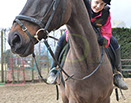 Badyhoeve is een terrein dat tot 3kinderen en hun pony's met de hond Djackson behoort.