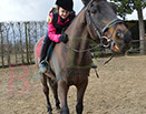 Badyhoeve is een terrein dat tot 3kinderen en hun pony's met de hond Djackson behoort.
