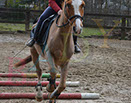 Badyhoeve is een terrein dat tot 3kinderen en hun pony's met de hond Djackson behoort.
