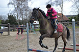 Badyhoeve is een terrein dat tot 3kinderen en hun pony's met de hond Djackson behoort.