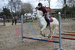 Badyhoeve is een terrein dat tot 3kinderen en hun pony's met de hond Djackson behoort.