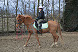Badyhoeve is een terrein dat tot 3kinderen en hun pony's met de hond Djackson behoort.