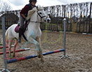 Badyhoeve is een terrein dat tot 3kinderen en hun pony's met de hond Djackson behoort.