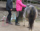 Badyhoeve is een terrein dat tot 3kinderen en hun pony's met de hond Djackson behoort.