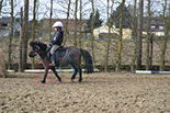 Badyhoeve is een terrein dat tot 3kinderen en hun pony's met de hond Djackson behoort.