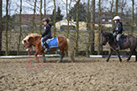 Badyhoeve is een terrein dat tot 3kinderen en hun pony's met de hond Djackson behoort.