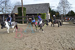 Badyhoeve is een terrein dat tot 3kinderen en hun pony's met de hond Djackson behoort.