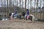 Badyhoeve is een terrein dat tot 3kinderen en hun pony's met de hond Djackson behoort.