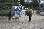 Badyhoeve is een terrein dat tot 3kinderen en hun pony's met de hond Djackson behoort.