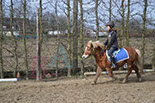 Badyhoeve is een terrein dat tot 3kinderen en hun pony's met de hond Djackson behoort.