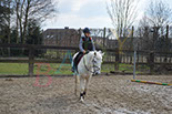 Badyhoeve is een terrein dat tot 3kinderen en hun pony's met de hond Djackson behoort.
