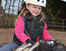 Badyhoeve is een terrein dat tot 3kinderen en hun pony's met de hond Djackson behoort.