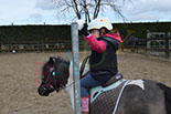 Badyhoeve is een terrein dat tot 3kinderen en hun pony's met de hond Djackson behoort.