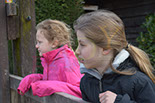 Badyhoeve is een terrein dat tot 3kinderen en hun pony's met de hond Djackson behoort.