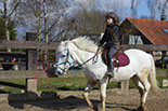 Badyhoeve is een terrein dat tot 3kinderen en hun pony's met de hond Djackson behoort.