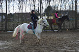 Badyhoeve is een terrein dat tot 3kinderen en hun pony's met de hond Djackson behoort.