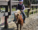 Badyhoeve is een terrein dat tot 3kinderen en hun pony's met de hond Djackson behoort.