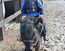 Badyhoeve is een terrein dat tot 3kinderen en hun pony's met de hond Djackson behoort.