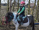 Badyhoeve is een terrein dat tot 3kinderen en hun pony's met de hond Djackson behoort.