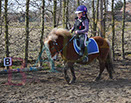 Badyhoeve is een terrein dat tot 3kinderen en hun pony's met de hond Djackson behoort.