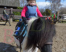 Badyhoeve is een terrein dat tot 3kinderen en hun pony's met de hond Djackson behoort.