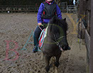 Badyhoeve is een terrein dat tot 3kinderen en hun pony's met de hond Djackson behoort.