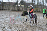 Badyhoeve is een terrein dat tot 3kinderen en hun pony's met de hond Djackson behoort.