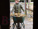 Badyhoeve is een terrein dat tot 3kinderen en hun pony's met de hond Djackson behoort.