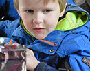 Badyhoeve is een terrein dat tot 3kinderen en hun pony's met de hond Djackson behoort.