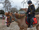 Badyhoeve is een terrein dat tot 3kinderen en hun pony's met de hond Djackson behoort.