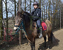 Badyhoeve is een terrein dat tot 3kinderen en hun pony's met de hond Djackson behoort.