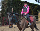 Badyhoeve is een terrein dat tot 3kinderen en hun pony's met de hond Djackson behoort.