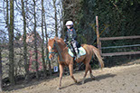 Badyhoeve is een terrein dat tot 3kinderen en hun pony's met de hond Djackson behoort.