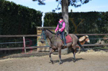 Badyhoeve is een terrein dat tot 3kinderen en hun pony's met de hond Djackson behoort.