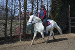 Badyhoeve is een terrein dat tot 3kinderen en hun pony's met de hond Djackson behoort.