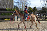 Badyhoeve is een terrein dat tot 3kinderen en hun pony's met de hond Djackson behoort.