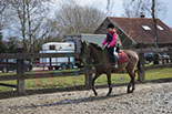 Badyhoeve is een terrein dat tot 3kinderen en hun pony's met de hond Djackson behoort.