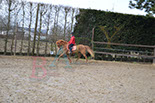 Badyhoeve is een terrein dat tot 3kinderen en hun pony's met de hond Djackson behoort.
