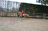 Badyhoeve is een terrein dat tot 3kinderen en hun pony's met de hond Djackson behoort.