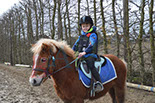 Badyhoeve is een terrein dat tot 3kinderen en hun pony's met de hond Djackson behoort.
