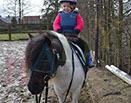 Badyhoeve is een terrein dat tot 3kinderen en hun pony's met de hond Djackson behoort.